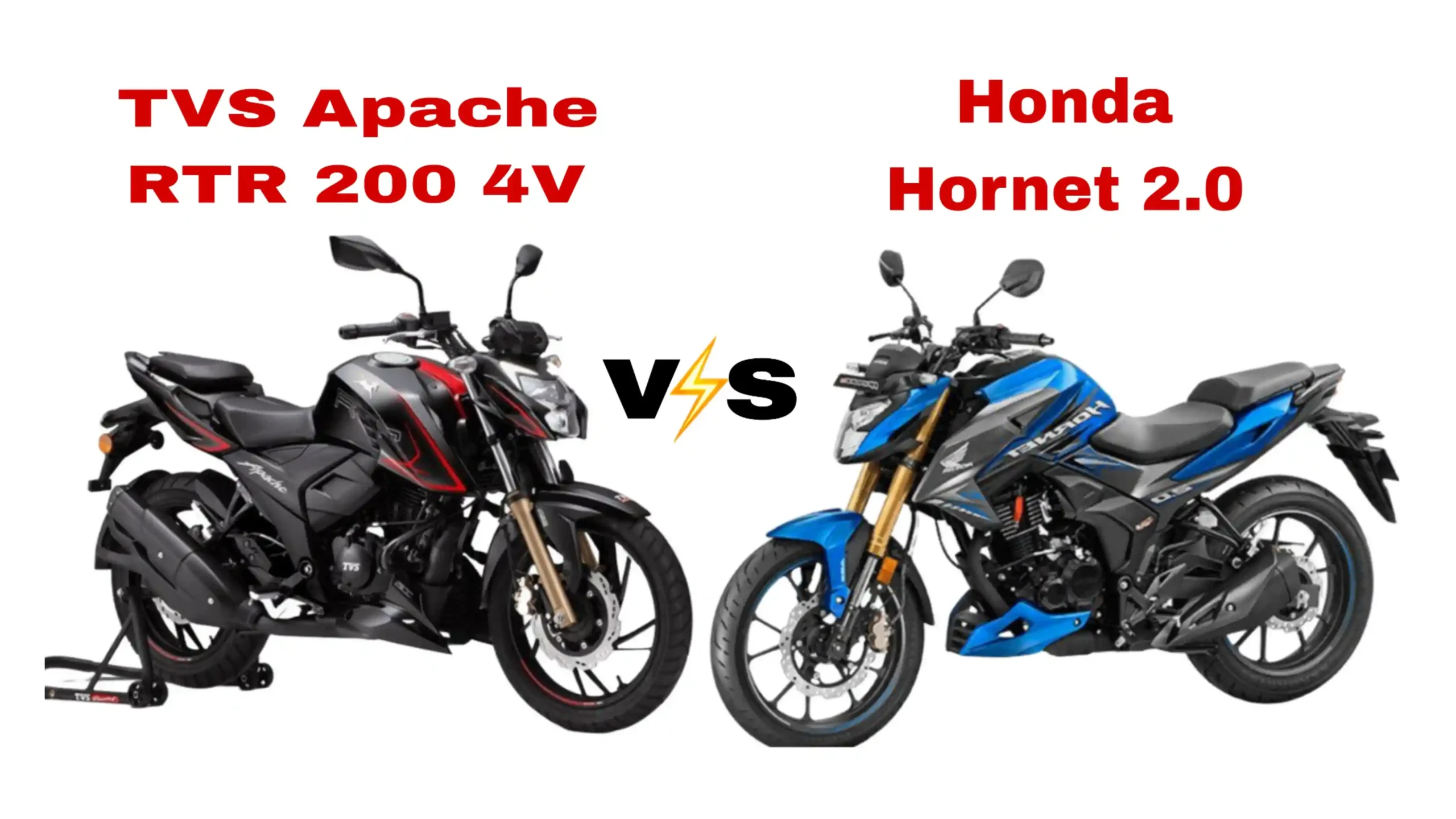 hornet