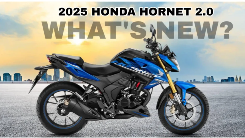 Honda Hornet