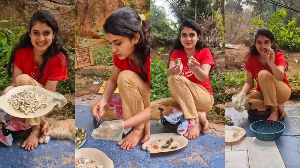 kokancha javai kiran gaikwad vaishnavi kalyankar ole kaju video