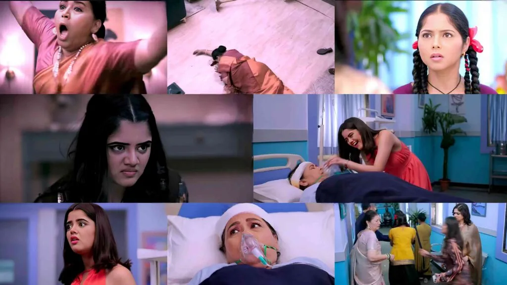 kamali maaliket anika cha dhakkadayak twist