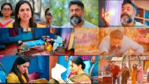 nashibwan serial off air final episode update